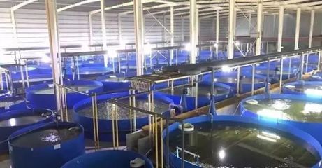 德清漁業(yè)養(yǎng)殖尾水治理成果顯著，再獲國家級專家關注