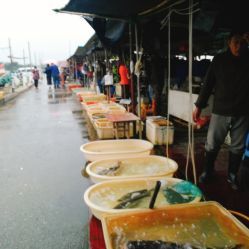無錫小溪橋水產批發(fā)市場 地址、電話、營業(yè)時間與美食探尋指南