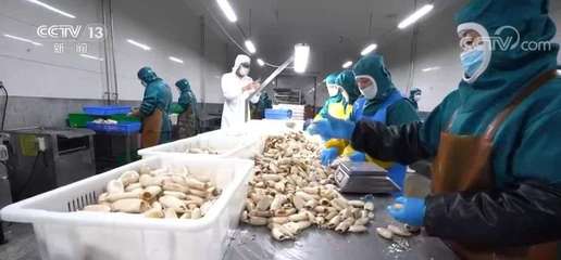 大食物觀引領水產產業(yè)升級 預制菜如何延長水產養(yǎng)殖價值鏈