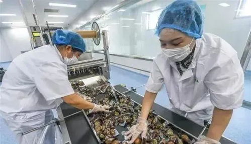 農業產業周報 新希望、騰訊、茅臺、本來生活、叮咚買菜最新動態與農產品加工進展