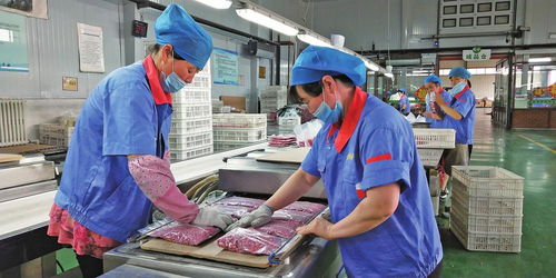 讓黑土地流金淌銀 松原推動(dòng)農(nóng)業(yè)高質(zhì)量發(fā)展紀(jì)實(shí)