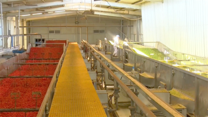 提升農(nóng)產(chǎn)品精深加工“硬本領(lǐng)” 打通產(chǎn)業(yè)鏈塑造新優(yōu)勢(shì)