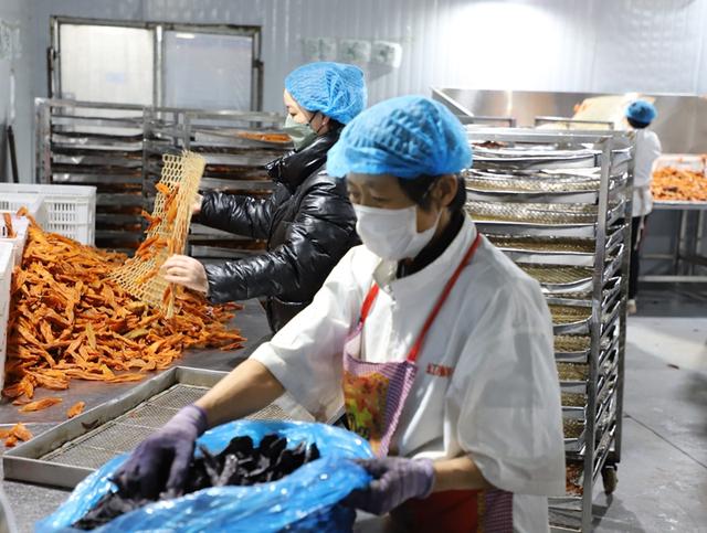 春節(jié)不停產(chǎn) 農(nóng)產(chǎn)品加工忙