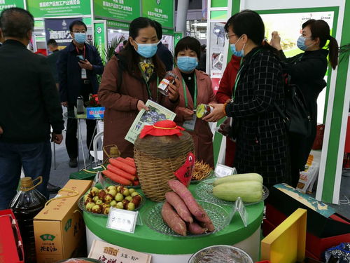 第七屆黃河金三角投資合作交流大會(huì)暨渭南農(nóng)產(chǎn)品加工產(chǎn)業(yè)博覽會(huì)開幕，聚焦農(nóng)產(chǎn)品加工新機(jī)遇