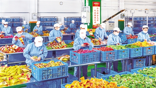 廣西推動(dòng)農(nóng)產(chǎn)品加工業(yè)集聚發(fā)展，助力農(nóng)業(yè)現(xiàn)代化轉(zhuǎn)型