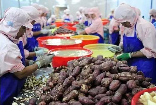 銅鼓縣農(nóng)產(chǎn)品初加工迎政策紅利，專項(xiàng)補(bǔ)助資金助推產(chǎn)業(yè)升級(jí)