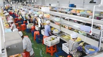 抓住農(nóng)業(yè)的未來(lái)！新機(jī)遇都在這五座“金礦”——初級(jí)農(nóng)產(chǎn)品購(gòu)銷